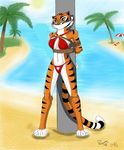  anthro beach bikini clothing colors feline female fur kung_fu_panda mammal master_tigress outside plejman rope seaside shading shepirotcloud solo swimsuit tidings water 