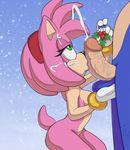  amy_rose anthro ball_fondling balls blue_fur breasts cum cum_on_face cumshot digital_media_(artwork) duo faceless_male fellatio female fur green_eyes hedgehog holly_(plant) kneeling male mammal oral orgasm penis pink_fur plant sega sex snow snowing sonic_(series) sonic_the_hedgehog straight the_other_half thick_penis vein veiny_penis 