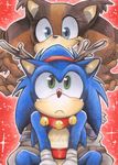  anthro antlers blue_eyes duo green_eyes horn male red_nose sega sonic_(series) sonic_boom sonic_the_hedgehog sticks_the_jungle_badger 