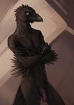  2014 acroth anthro avian balls beak bird black_feathers crow feathers flaccid green_eyes looking_at_viewer male nude orphen-sirius penis solo 