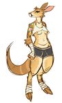  2014 anthro big_ears breasts brown_fur clothed clothing female fur green_eyes hoot kangaroo looking_at_viewer mammal marsupial navel nipples plain_background pouch shorts skimpy solo standing tattoo thick_tail 