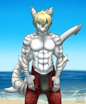  2014 abs anthro biceps blonde_hair blue_eyes bulge claws clothed clothing fish gills hair half-dressed looking_at_viewer male marine markings muscles open_pants outside pants pecs pose sand scales sea seaside shark shorts solo standing stripes swimsuit tiger_shark toned topless underwear vallhund water 