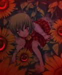  ascot barefoot feet flower from_above glowing glowing_eyes glowing_smile green_hair kazami_yuuka looking_up plaid plaid_skirt plaid_vest red red_eyes saki_chisuzu short_hair sitting skirt skirt_set smile solo sunflower touhou vest 