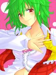  ascot bad_id bad_pixiv_id bra green_hair kazami_yuuka lace lace-trimmed_bra lingerie midriff open_clothes open_shirt plaid plaid_vest red_eyes shirt short_hair smirk solo touhou underwear untied upper_body vest yude 