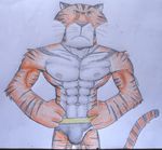  abs anthro anthrofied bodybuilder bulge character_from_animated_feature_film clothed clothing dreamworks feline flexing fur half-dressed madagascar male mammal muscles nekosuke nipples pecs pose solo tiger topless vitaly_the_tiger 