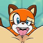  2014 animated anthro blue_eyes breasts cunnilingus dorigreen duo female fur lesbian licking looking_at_viewer lying mammal marine_the_raccoon nipples nude open_mouth oral pussy raccoon sega sex smile sonic_(series) spread_legs spreading teeth tongue tongue_out vaginal 