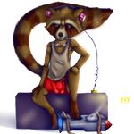  anthro bulge clothing furfit guardians_of_the_galaxy male mammal raccoon rocket_raccoon shorts solo 