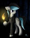  2014 blue_eyes equine fan_character feral forest hoodie horse kenny male mammal my_little_pony outside pony solo thunder_chaser torch tree 