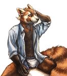  5_fingers anthro bottomless briefs bulge claws clothed clothing front_view fur half-dressed hand_behind_head kenket looking_at_viewer male mammal open_shirt red_fur red_panda ringed_tail shirt sitting smile solo spread_legs spreading underwear whiskers 