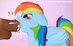  booponies butt disembodied_penis duo equine fellatio female feral friendship_is_magic horse male mammal my_little_pony oral pegasus penis pony rainbow_dash_(mlp) sex solo_focus straight wings 