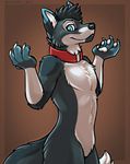  2015 anthro black_fur blue_eyes canine claws collar fur male mammal mohawk nude pawpads paws portrait royalty_(artist) solo standing white_fur wolf 
