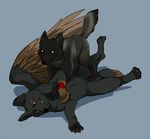  ball_stepping canine crush duo female kintari male mammal pinned raukoth tderek99 wolf wrestling 