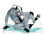  2014 anthro autofellatio balls black_penis bloodhound_(artist) claws erection hyena knot licking male mammal masturbation mightyena nintendo nude oral pawpads paws penis pok&eacute;mon precum solo tongue tongue_out video_games 