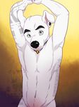  animal_crossing anthro canine dog ear_piercing eclipsewolf k.k._slider male mammal nintendo piercing solo video_games 