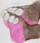  ambiguous_gender anthro boca foot_focus hindpaw hippopotamus mammal paws solo 