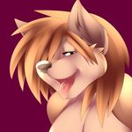  alpha_and_omega anthro brown_eyes canine cleavage clothed clothing female kate looking_at_viewer mammal panting piercing tongue tongue_piercing wolf wwaxyy 