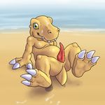  afterglow agumon animal_genitalia bandai beach blueballs chubby claws cum cum_on_chest cum_on_face cum_on_thigh digimon foot_focus genital_slit knot legs_up looking_at_viewer lying male on_back outside penis ribbed_penis seaside shaded slit solo toe_claws 