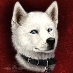  akita blue_eyes canine dog headshot_portrait male mammal portrait solo ykoriana 