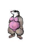  2014 anthro badger breasts clothing digital_media_(artwork) female fur hindpaw looking_at_viewer mammal mustelid oddwilds oekaki overweight paws plain_background sketch smile swimsuit 