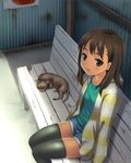  bad_id bad_pixiv_id bench blush brown_eyes brown_hair cat hashi highres hood hood_down hoodie legs long_hair original short_shorts shorts sitting solo thighhighs 