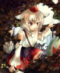  animal_ears bare_shoulders blurry depth_of_field detached_sleeves hat inubashiri_momiji knj red_eyes shield short_hair silver_hair solo staring sword tail tokin_hat touhou tree water waterfall weapon white_hair wolf_ears wolf_tail 