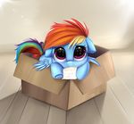  2014 cardboard_box cute english_text equine female feral friendship_is_magic mammal my_little_pony note pegasus pridark rainbow_dash_(mlp) solo text wings young 