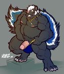  amber_eyes anthro azure_(bluedude) big_muscles big_penis black_fur bluedude bulge cappuccino chubby claws clothed clothing erection eyewear fur glasses grey_background half-dressed humanoid_penis male mammal musclegut muscles necklace penis plain_background pubes skunk solo speedo standing swimsuit topless 
