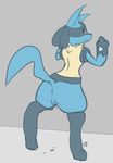  anthro anus butt dripping female looking_back lucario nintendo pok&eacute;mon presenting presenting_hindquarters pussy pussy_juice signature solo video_games vswitch 