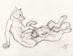  2014 anthro breasts canine chewtoy cock_transformation conjoined duo female fusion happy male mammal merge paws pen_(artwork) penis pussy rugertaur small_breasts taur traditional_media_(artwork) transformation what what_has_science_done wolf 