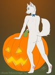  anthro balls canine halloween holidays male mammal nude okamiwhitewings pinup plantigrade pose pumpkin shane solo wolf 