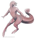  alpha_channel anthro fish hagfish male marine melinae_ratel pink_skin plain_background pose solo transparent_background 