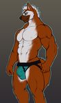  2014 abs anthro biceps big_muscles black_nose brown_fur bulge canine clothed clothing dog ear_piercing fur green_eyes hair half-dressed jockstrap male mammal muscles nipples pecs piercing pirun_(artist) pose ripped smile solo standing toned topless underwear white_fur white_hair white_nipples 