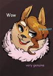  ambiguous_gender beauty_mark bittenhard canine dog doge lipstick mammal meme miss_shiba poppy_opossum shiba_inu solo 