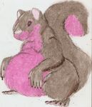  ambiguous_gender boca feral mammal overweight rodent squirrel 