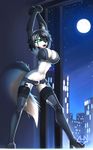  2014 anthro big_breasts breasts building canine clothed clothing female fur green_eyes hair hi_res legwear macmegagerc mammal moon night one_eye_closed open_mouth panties skimpy solo standing stockings underwear wolf 