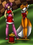  aakashi amy_rose anthro duo female miles_prower sega sonic_(series) transformation 