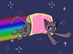  2014 anus black_nose cat eyelashes feline female feral flying fur grey_fur mammal meme nyan_cat pawpads paws pink_pawpads poptart pussy quadruped rainbow solo space wasajoke 