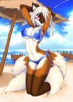  anthro armpits beach bikini black_nose blonde_hair breasts brown_fur canine cleavage clothed clothing female fur hair kneeling looking_at_viewer macmegagerc mammal multiple_tails navel open_mouth orange_fur outside pink_eyes pinup pose raised_arm sand sea seaside skimpy solo swimsuit tan_fur water white_hair 