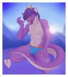  anthro bulge clothing dragon khris_dragon male ryukidragon solo underwear 