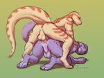  2014 anal anthro anus backsack balls claws cum cum_inside digital_media_(artwork) duo erection from_behind gay lizard male meesh open_mouth orgasm penetration penis plain_background reptile scalie sex simple_background 