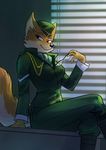  anthro canine eyewear female fox froggiechan glasses hat lt._fox_vixen mammal military_uniform smile squirrel_and_hedgehog uniform 