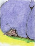  ambiguous_gender boca butt duo hippopotamus macro mammal micro sleeping solo_focus traditional_media_(artwork) zzz 