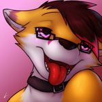  2014 anthro blush canine collar cynicalstarr eyewear fan_character faxy fox fur girly glasses hair looking_at_viewer male mammal open_mouth smile tongue tongue_out white_fur 