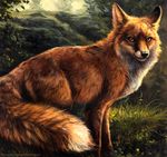  2014 ambiguous_gender canine detailed feral fluffy fox fur kenket looking_at_viewer mammal nature nude orange_fur outside poetry sly smile solo tree 