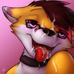  2014 anthro blush canine collar cum cynicalstarr eyewear fan_character faxy fox fur girly glasses hair looking_at_viewer male mammal open_mouth smile solo tongue tongue_out white_fur 