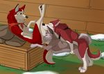  aleu all_fours anatomically_correct anus balto_(film) brother_and_sister canine dog doggystyle female feral from_behind group husky incest jenna kodi lying male mammal nipples nomad_genesis on_back oral paws pussy pussy_juice sex sibling snout_fuck splayed_ears 
