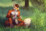  abs anthro bracelet canine claws clothed clothing drum eyes_closed fangs fox fur gloves_(marking) grass half-dressed jewelry koul male mammal markings muscles musical_instrument nature orange_fur outside pawpads paws pecs shorts solo toe_claws topless tree white_fur 
