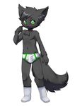  anthro blush bulge canine clothing cub fox fuzzwolfy gee green_eyes male mammal socks solo underwear young 