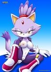  anthro blaze_the_cat breasts cat clothing feline female looking_at_viewer mammal nipples pussy sega sitting solo sonic_(series) 