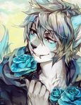  anthro flower grey_hair hair jotaku kemono lip_ring male mammal piercing plant raccoon rose snakebites solo 